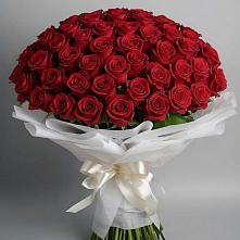 Букет 101 Красная роза Блэк Мэджик в Андреевское