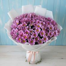 Букет цветов из:  Хризантемы в Андреевское