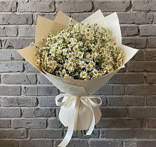 Букет цветов из:  Ромашки #REPLACE_PRED# Андреевское