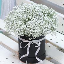 Цветочная композиция из Гипсофила в шляпной коробке #REPLACE_PRED# Андреевское