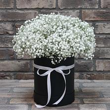 Цветочная композиция из Гипсофила в шляпной коробке в Андреевское
