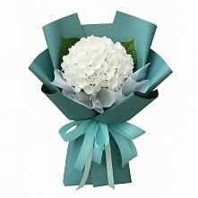Букет цветов из:  Гортензия в Андреевское